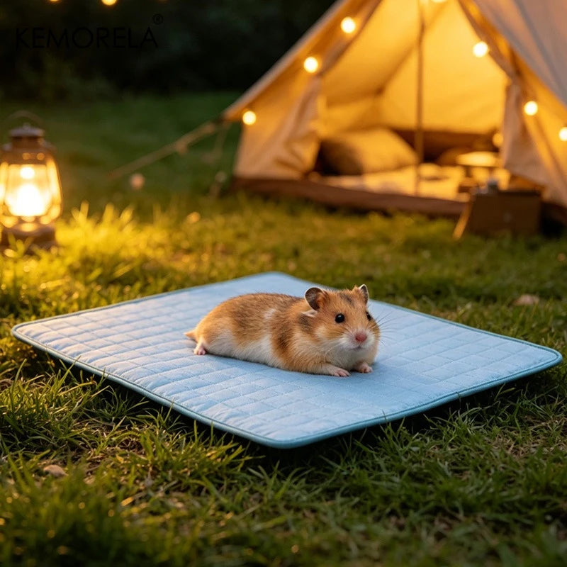 2026 Ice Cool Upgrade Dog Cooling Mat Summer Pet Cold Bed Extra Large for Small Big Dogs Pad Breathable Pet Cold Bed